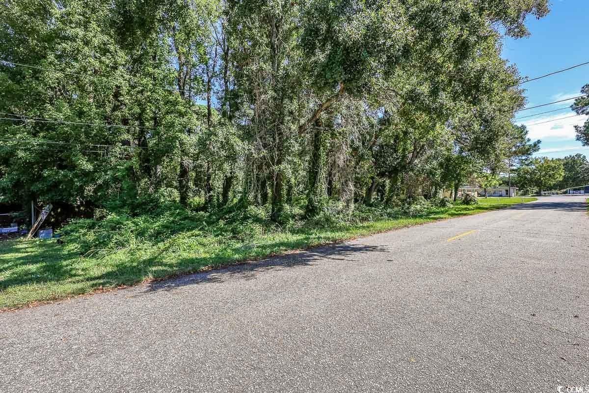 1001 Graham Avenue Myrtle Beach, SC 29577 - Photo 3 of 7 View of asphalt street