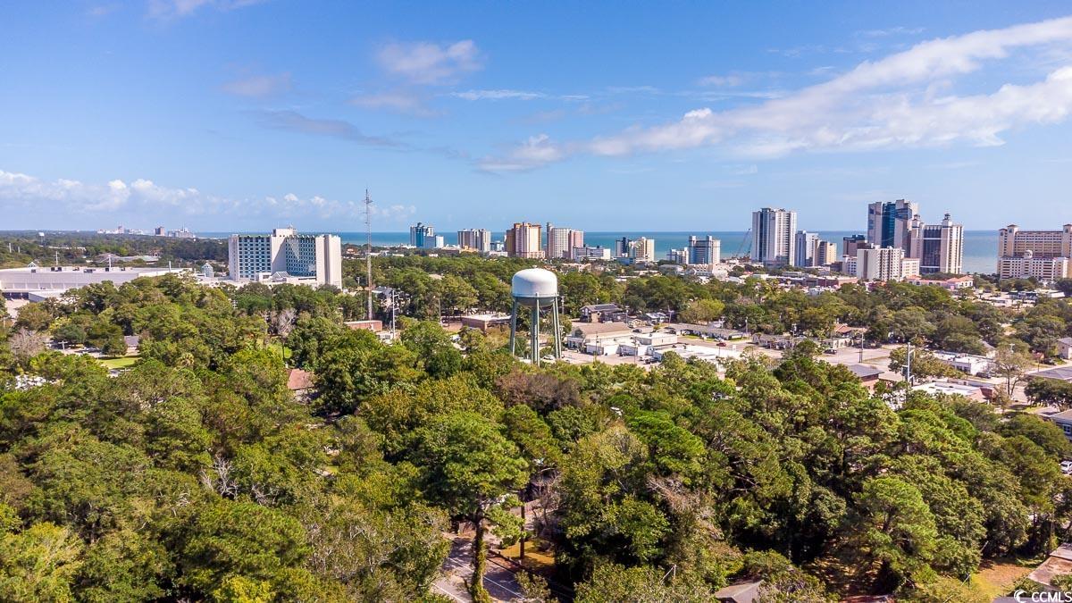 1001 Graham Avenue Myrtle Beach, SC 29577 - Photo 5 of 7 Drone / aerial view of skyline