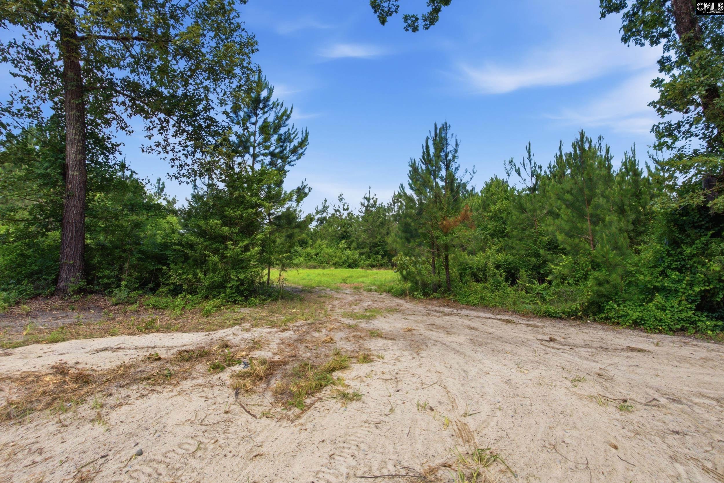 590 Springwood Lane Lexington, SC 29073 - Photo 24 of 31