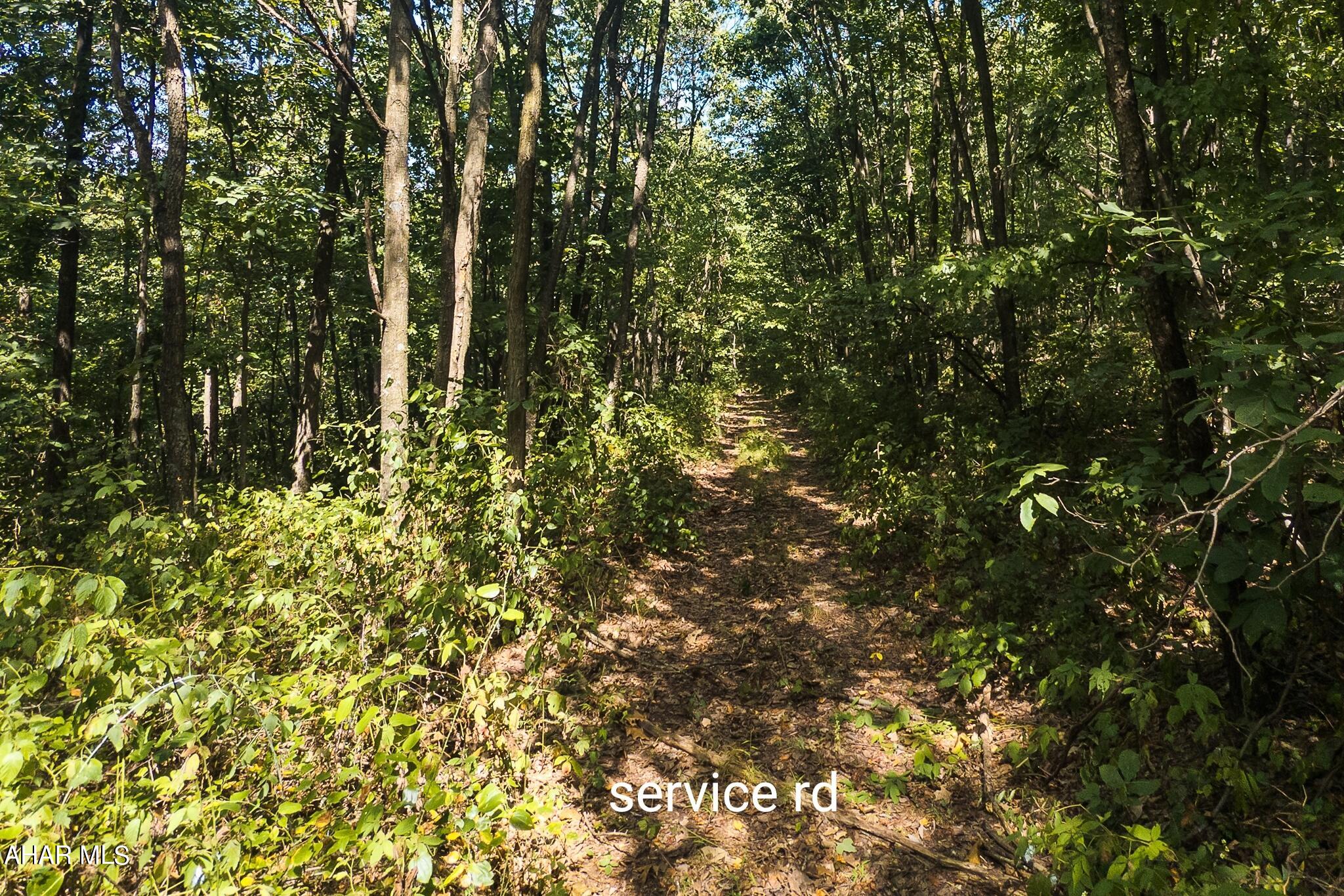 Off Addison Ridge Road Clearville, PA 15535 - Photo 4 of 18