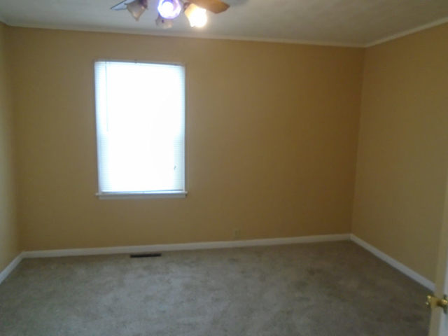 229 South 11th Street Rochelle, IL 61068 - Photo 9 of 10 Gallery Image 9