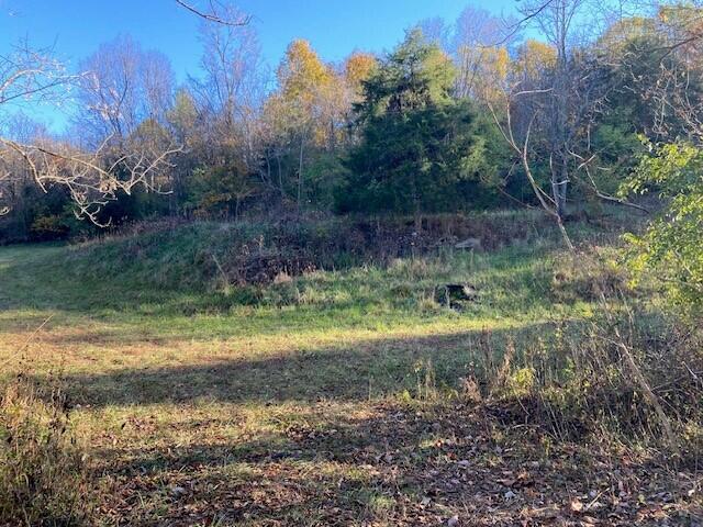 0 New Hope Road Foster, KY 41043 - Photo 2 of 8 Gallery Image 2