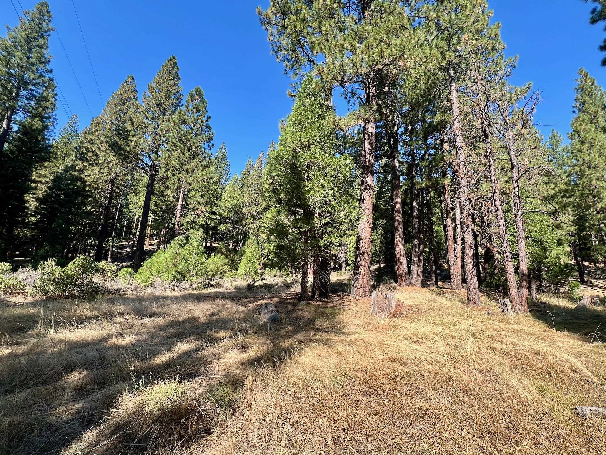 1651 Woodpecker Road Clio, CA 96106 - Photo 37 of 50 Gallery Image 37