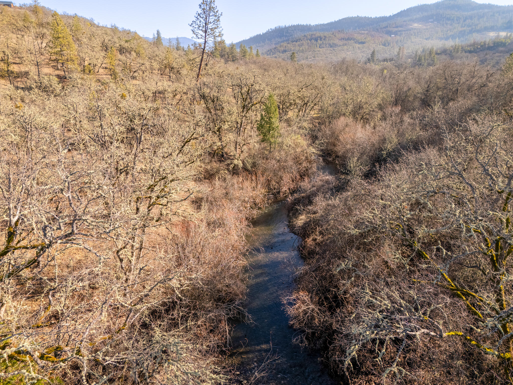 4477 East Antelope Road Eagle Point, OR 97524 - Photo 9 of 25