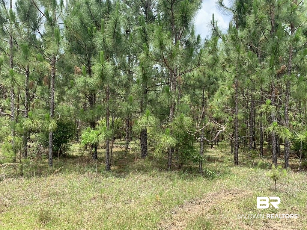 0 Box Road Semmes, AL 36575 - Photo 5 of 5