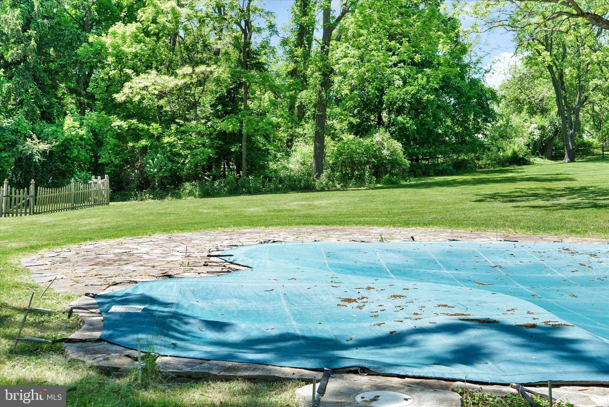 1253 Street Road Chester Springs, PA 19425 - Photo 32 of 43 Back yard and pool.