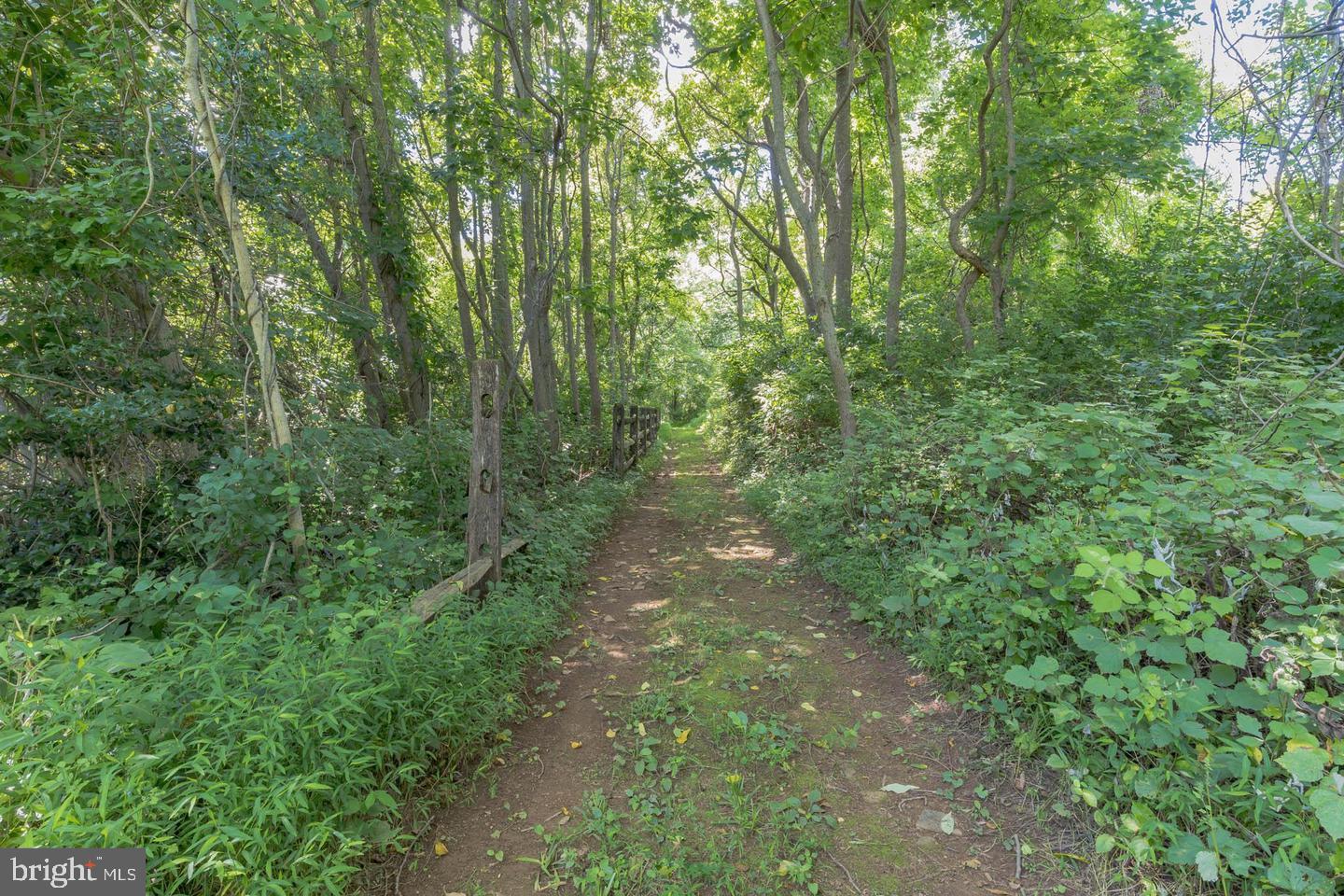 1253 Street Road Chester Springs, PA 19425 - Photo 42 of 43 Walking path to the rear of the property.