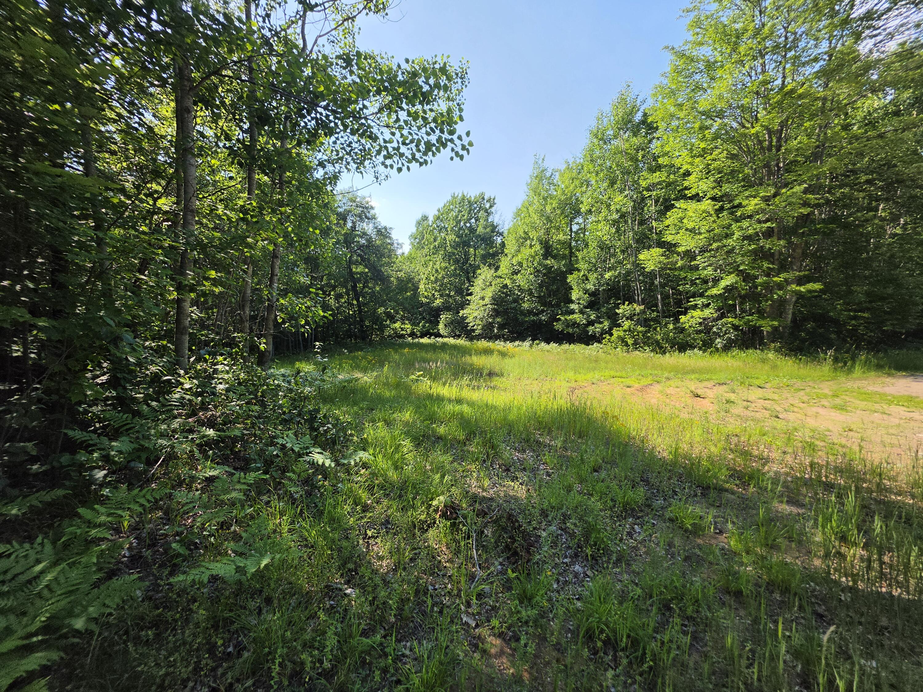 1.55-acres Oak Ridge Road Amberg, WI 54102 - Photo 1 of 6 095a0305-3de2-49c4-8e6b-56ba677fc181-1_a
