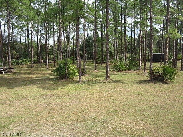 12931 Shawnee Road Fort Myers, FL 33913 - Photo 15 of 19 a backyard of a house with lots of green space and fountain