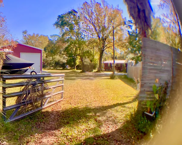 a view of a yard with plants and large trees