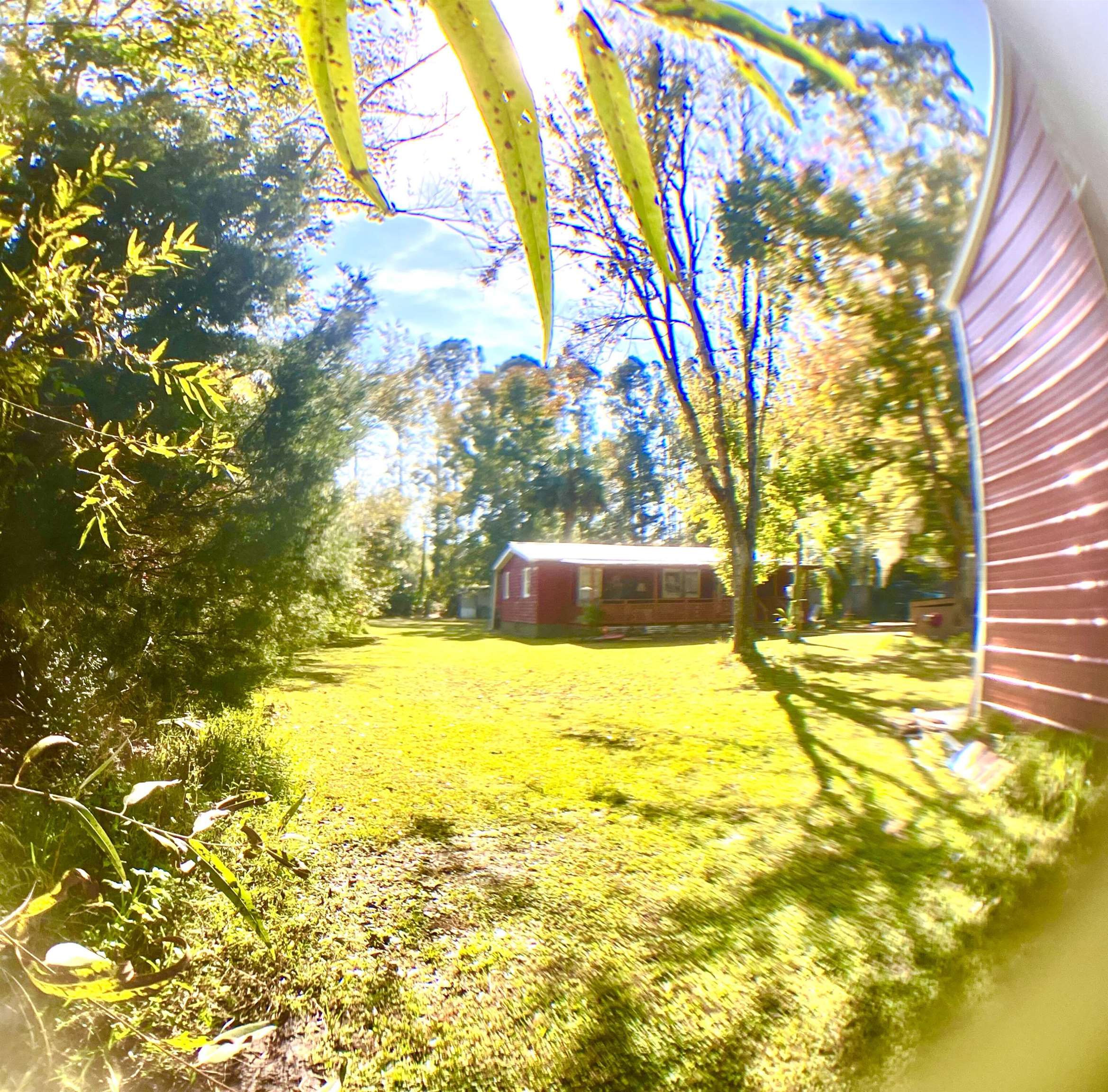 1611 Brian Way St. Augustine, FL 32084 - Photo 18 of 23 a view of swimming pool with yard