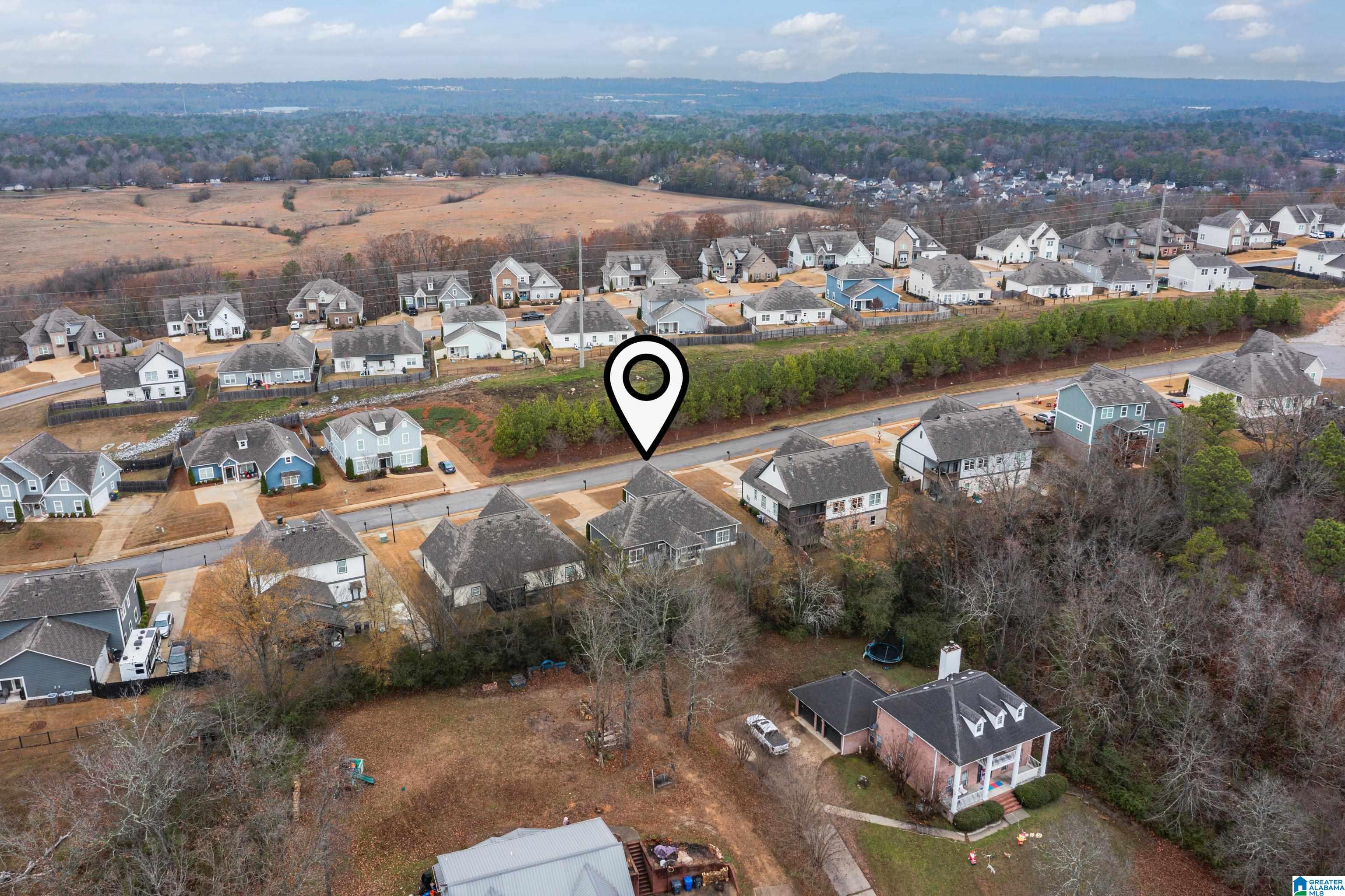 4026 Camellia Ridge Cove Pelham, AL 35124 - Photo 53 of 56
