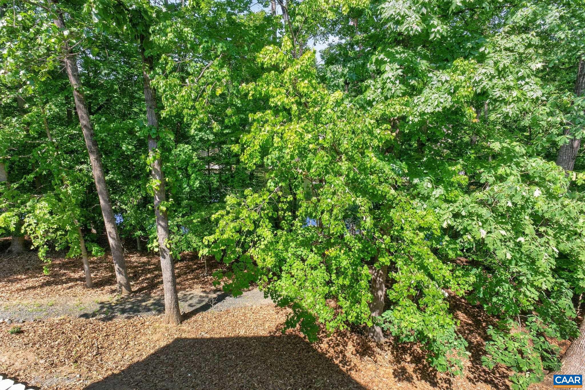 13 Condor Road Palmyra, VA 22963 - Photo 48 of 61