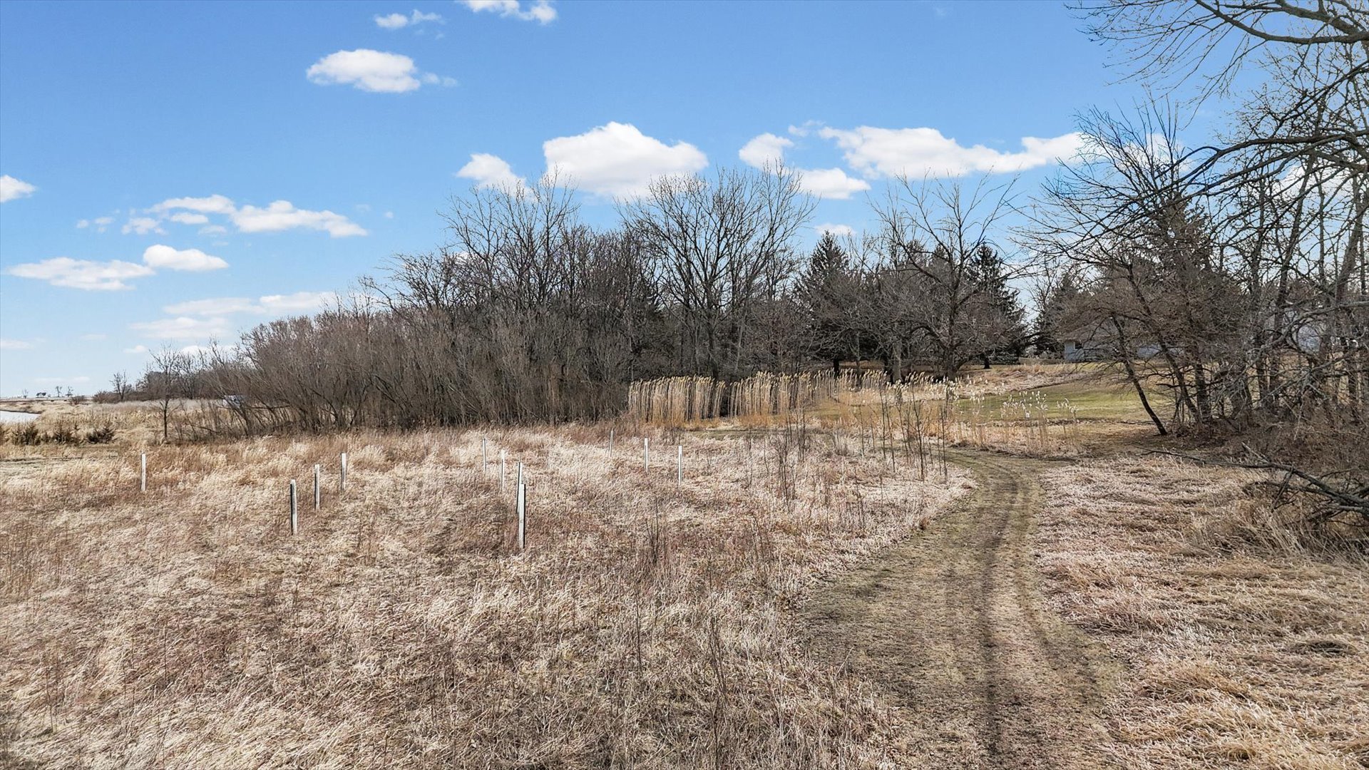N 2545 E Road Farmer City, IL 61842 - Photo 15 of 47 a view of a yard with trees