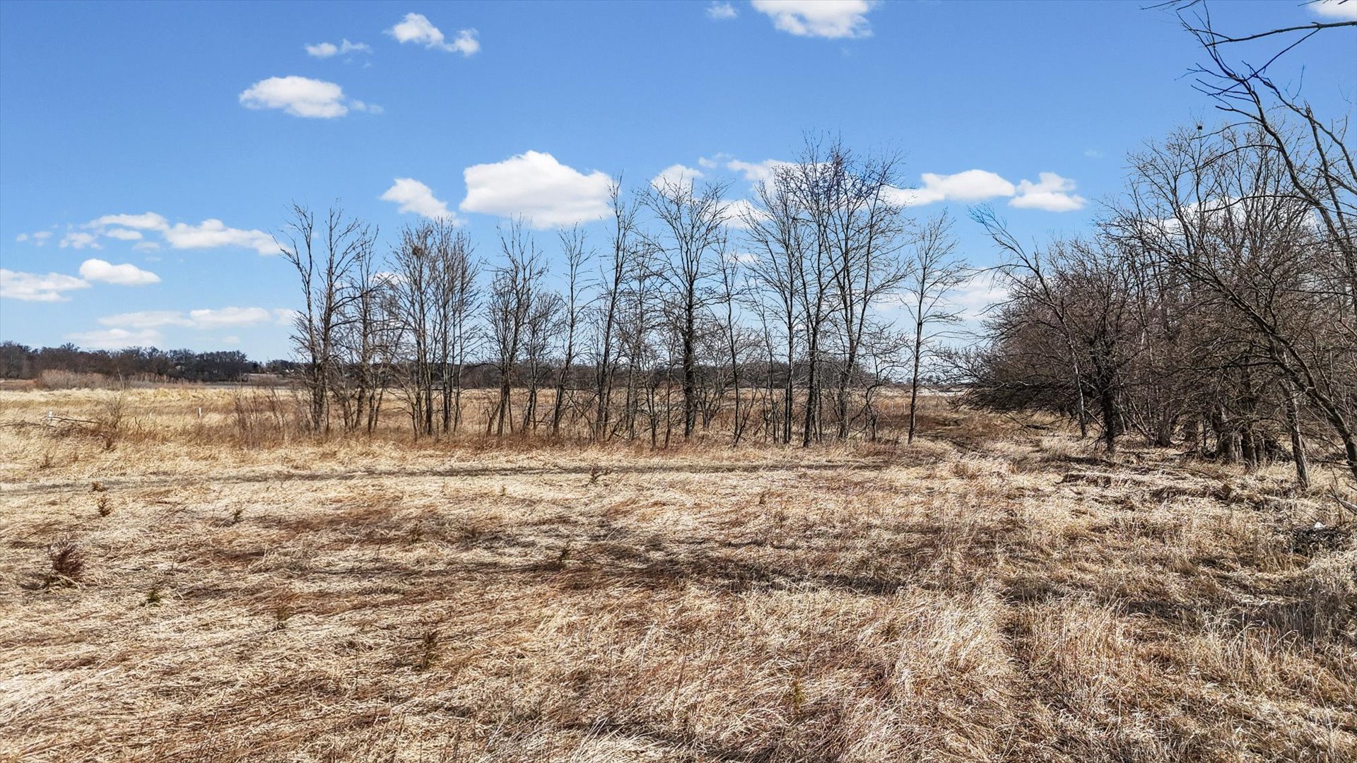 N 2545 E Road Farmer City, IL 61842 - Photo 17 of 47 a view of a lake with a yard