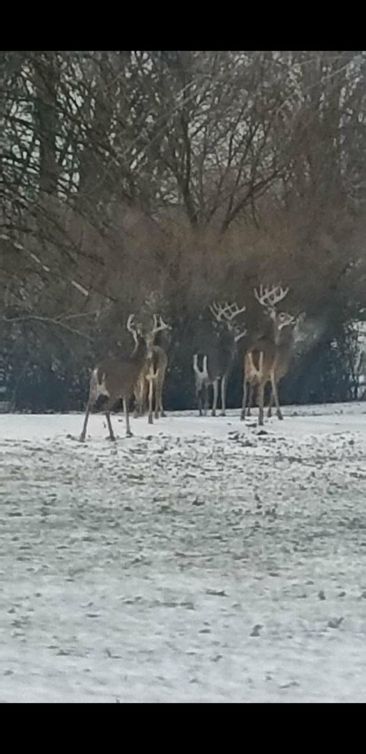 N 2545 E Road Farmer City, IL 61842 - Photo 46 of 47 a view of outdoor space yard and lake