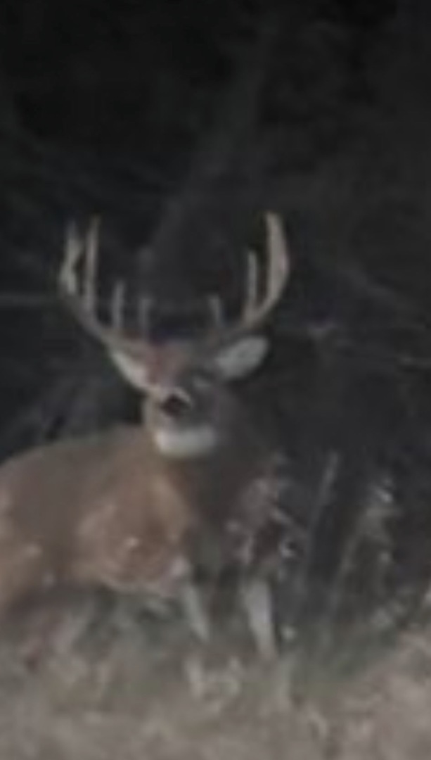 N 2545 E Road Farmer City, IL 61842 - Photo 47 of 47