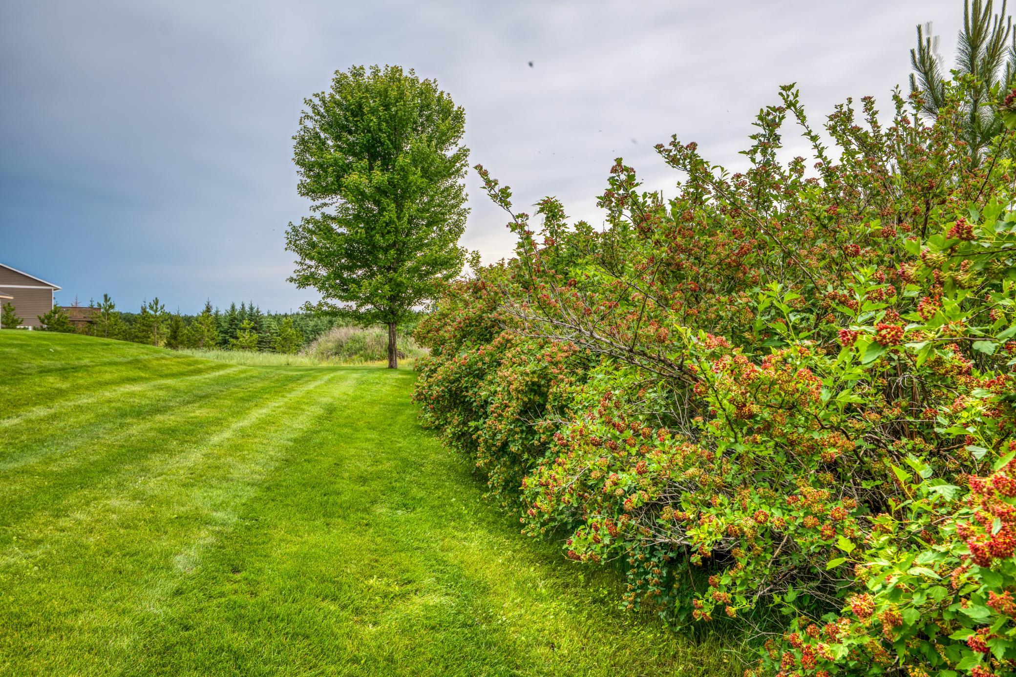 1320 Whiting Road Northwest, Unit 39 Bemidji, MN 56601 - Photo 81 of 95