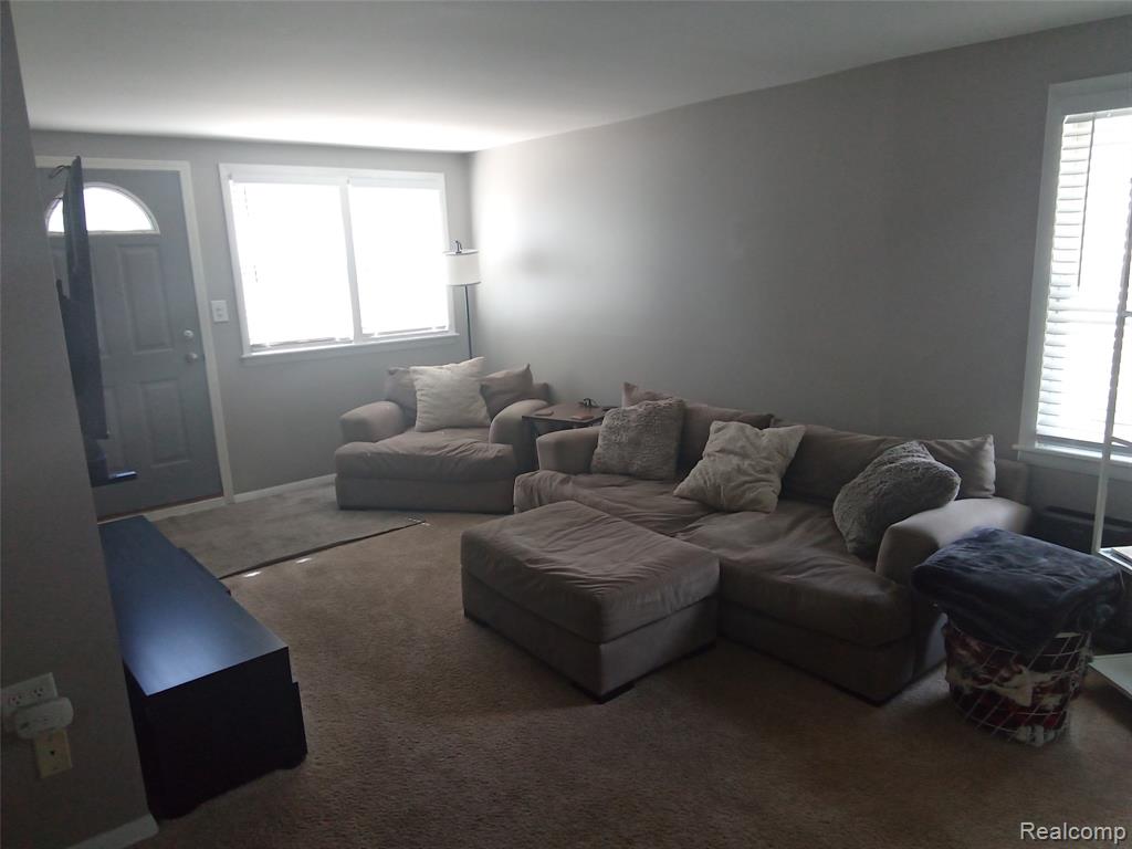 3923 Donley Avenue Rochester Hills, MI 48309 - Photo 9 of 19