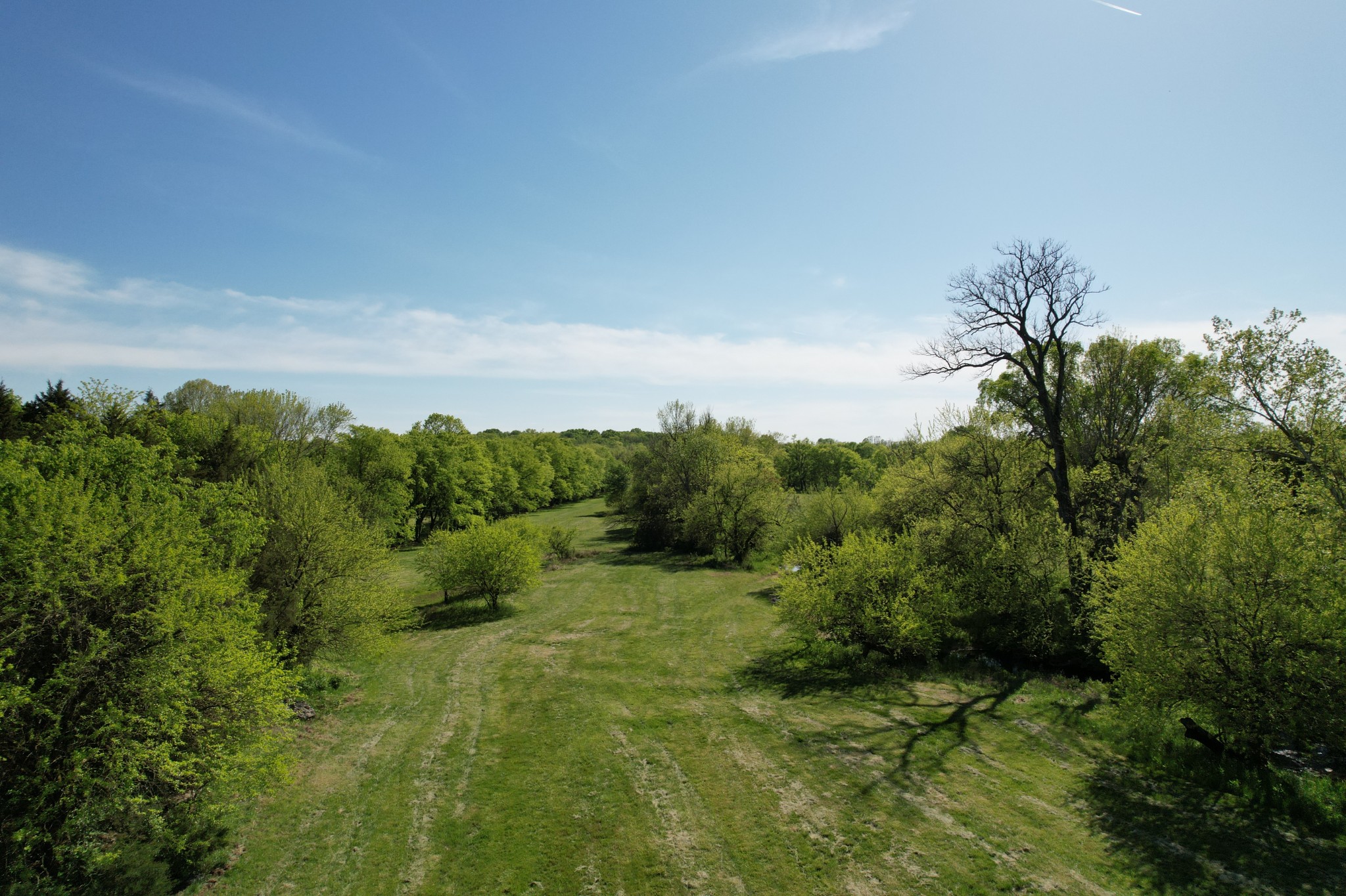 2 Wilson Pike Franklin, TN 37067 - Photo 3 of 13 a view of a green field with lots of bushes