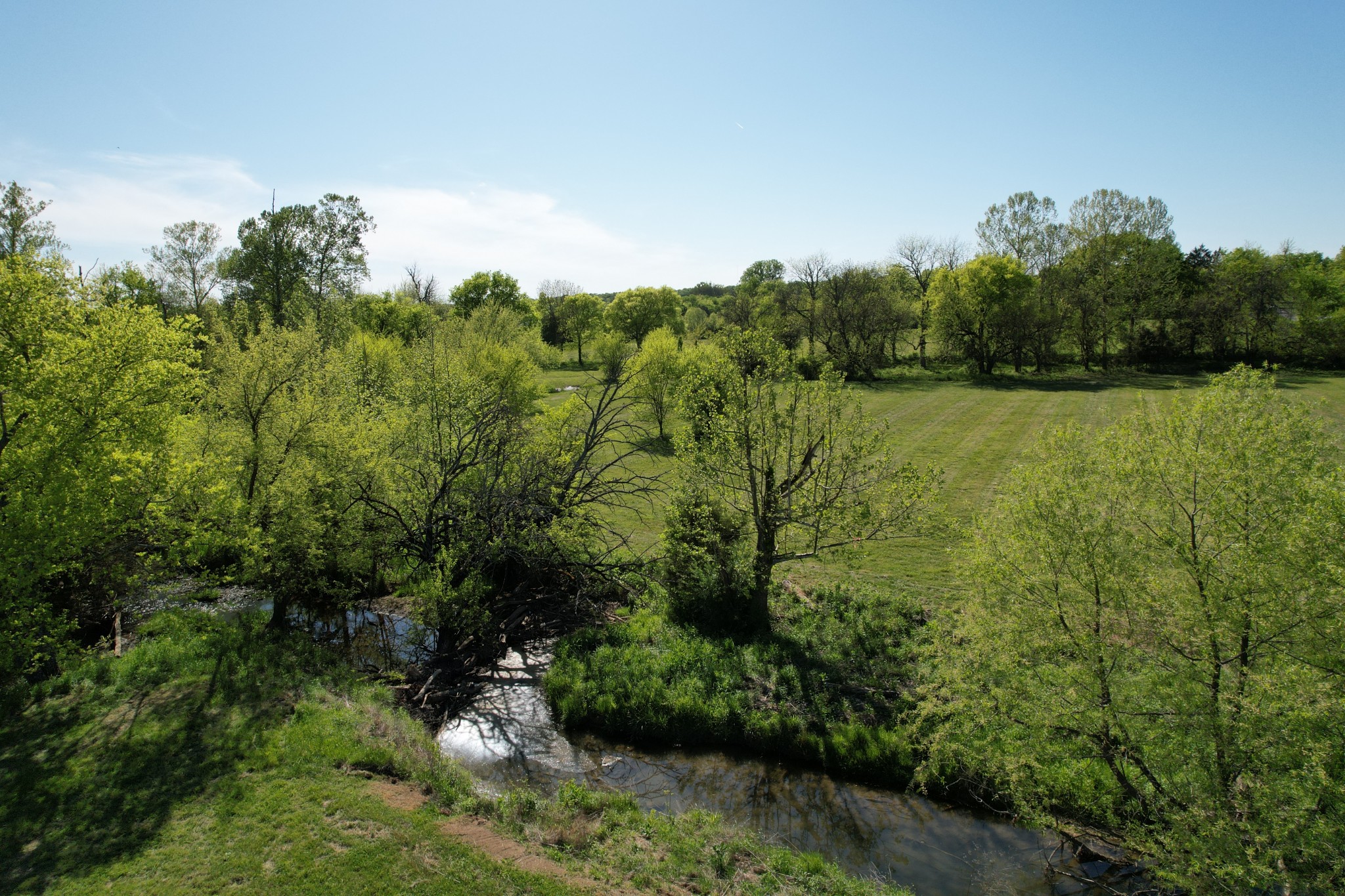 2 Wilson Pike Franklin, TN 37067 - Photo 9 of 13 a view of a yard