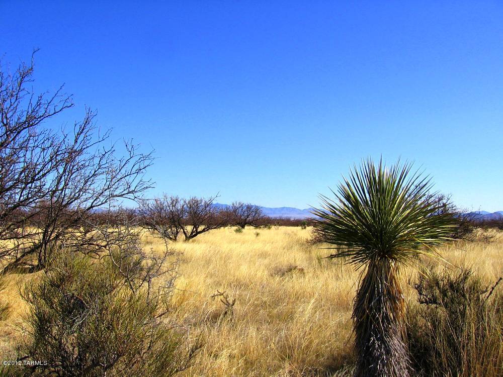 3 45 Ac On Pearce Road Pearce, AZ 85625 - Photo 8 of 10 Gallery Image 8