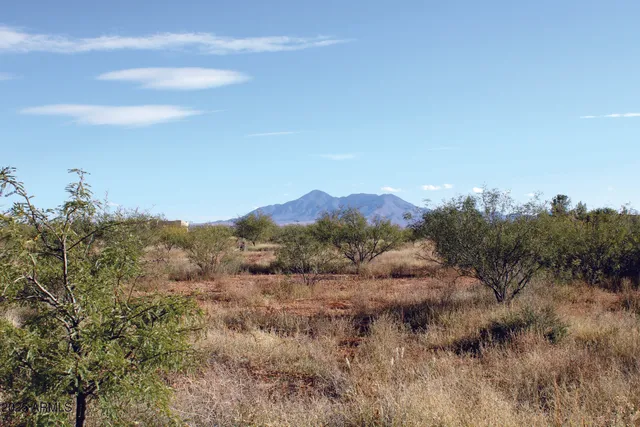 a view of a city with lush green forest