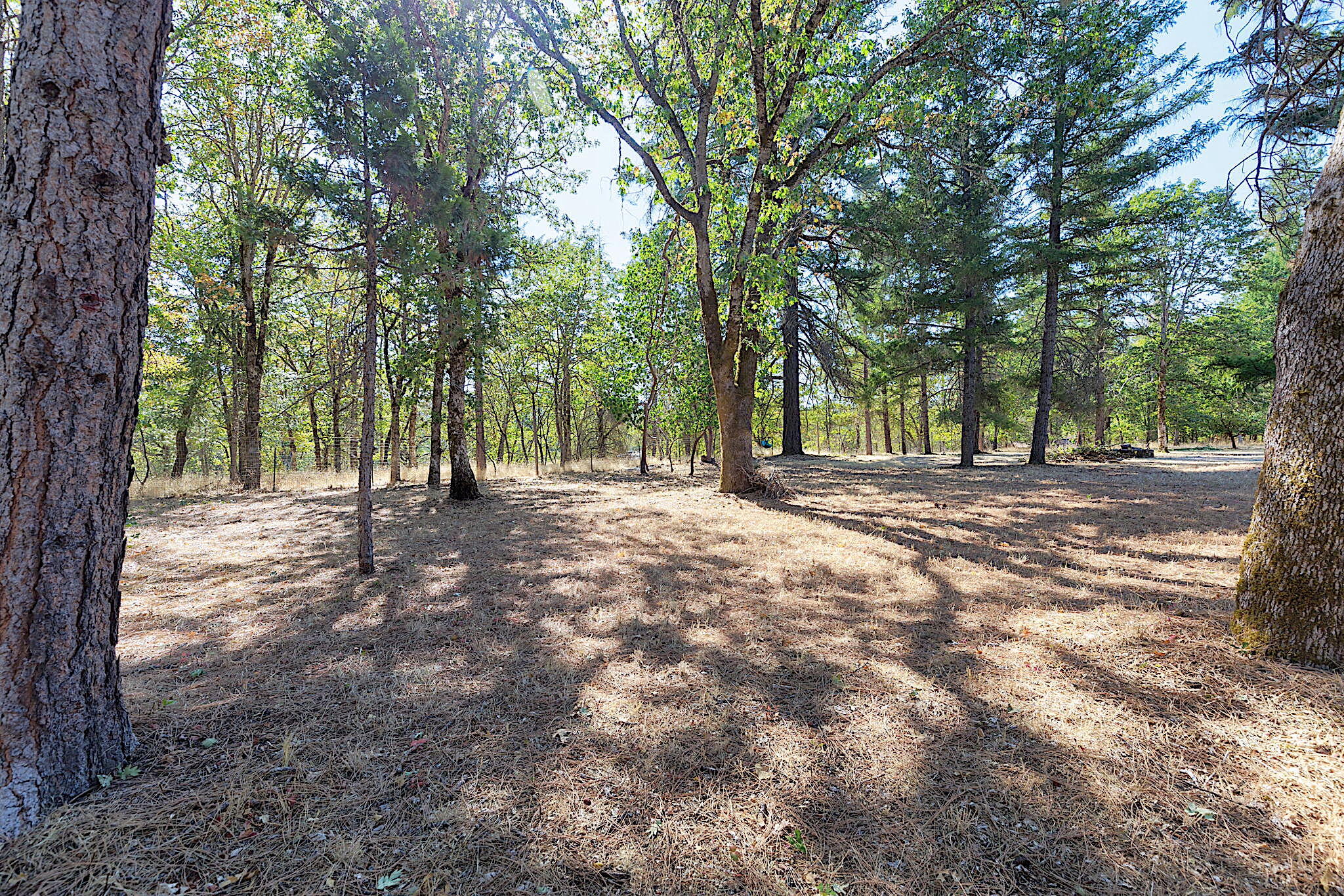 151 Boyer Road Grants Pass, OR 97526 - Photo 62 of 65 57-web-or-mls-51-boyer-rd