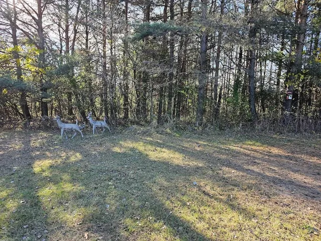 $214,900 | W8756 Apache Drive, Wild Rose, WI 54984