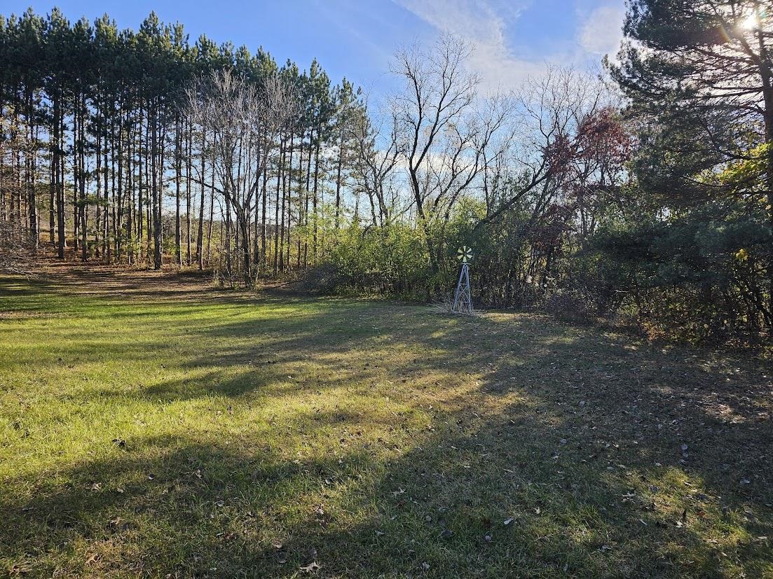 W8756 Apache Drive Wild Rose, WI 54984 - Photo 16 of 18