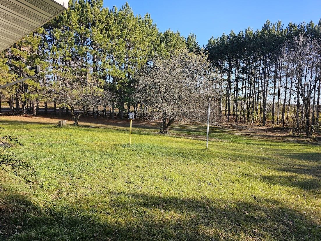 W8756 Apache Drive Wild Rose, WI 54984 - Photo 17 of 18