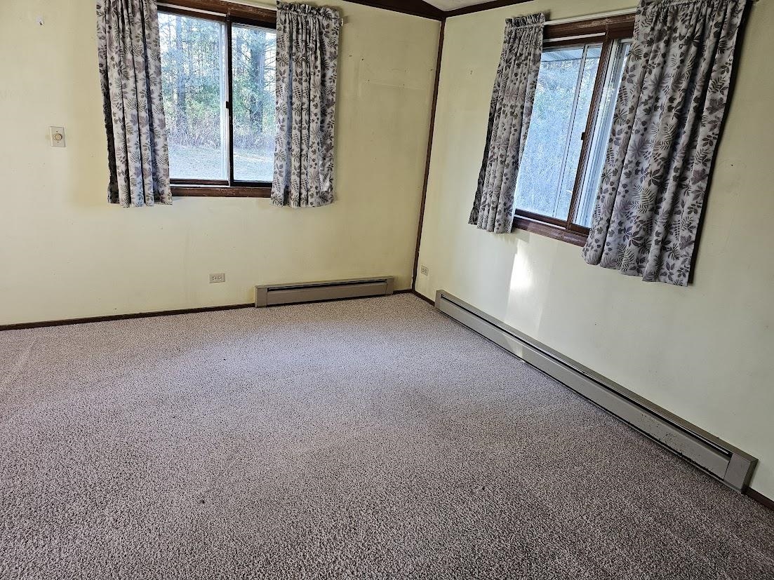 W8756 Apache Drive Wild Rose, WI 54984 - Photo 5 of 18