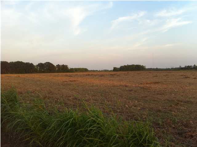 0 Soldier Road Scott, LA 70583 - Photo 2 of 2 Additional Photo