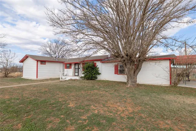 a big tree in middle of the garden