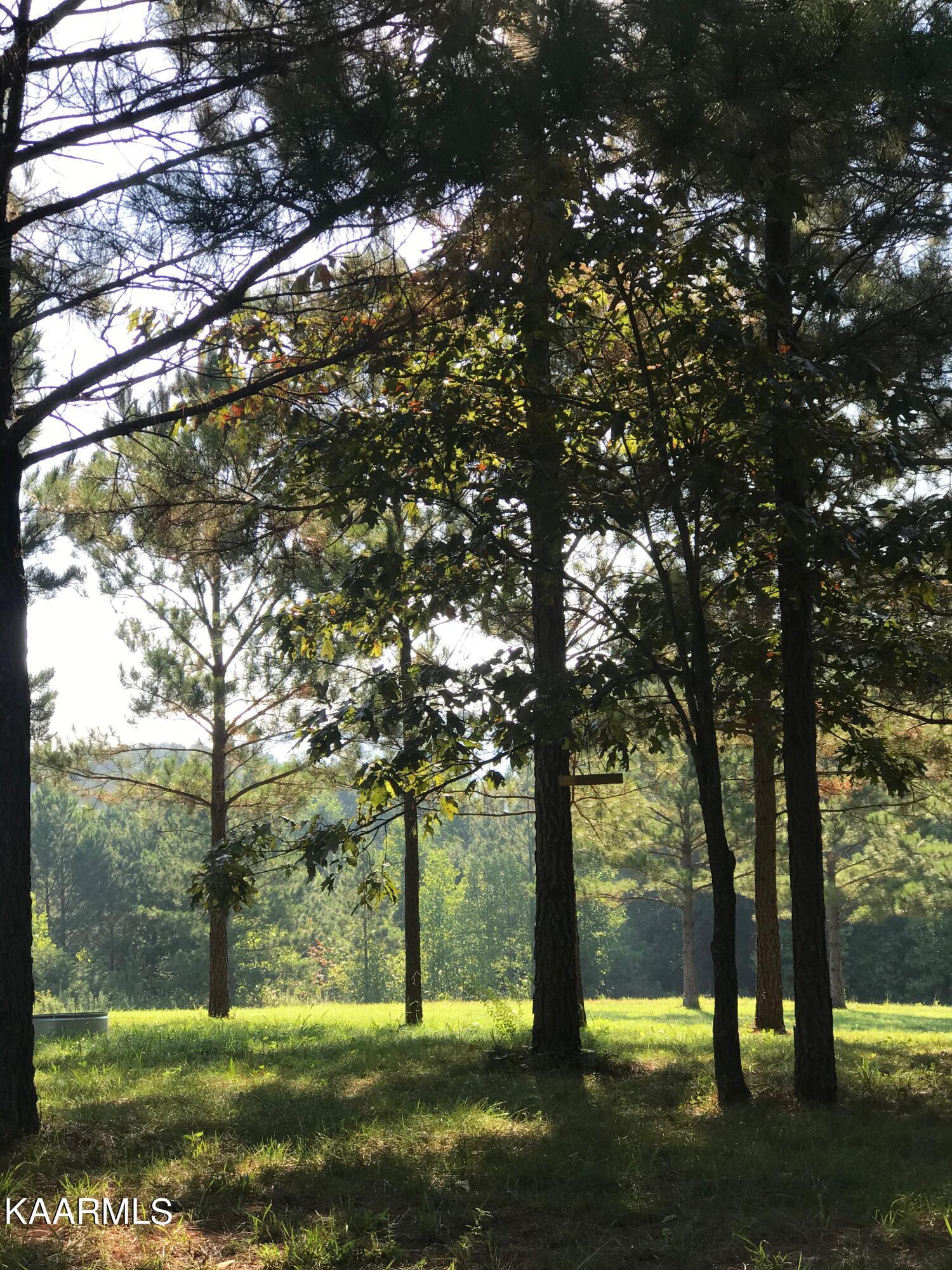 Foshee Road Road Philadelphia, TN 37846 - Photo 1 of 1 foshee 31 ac pic