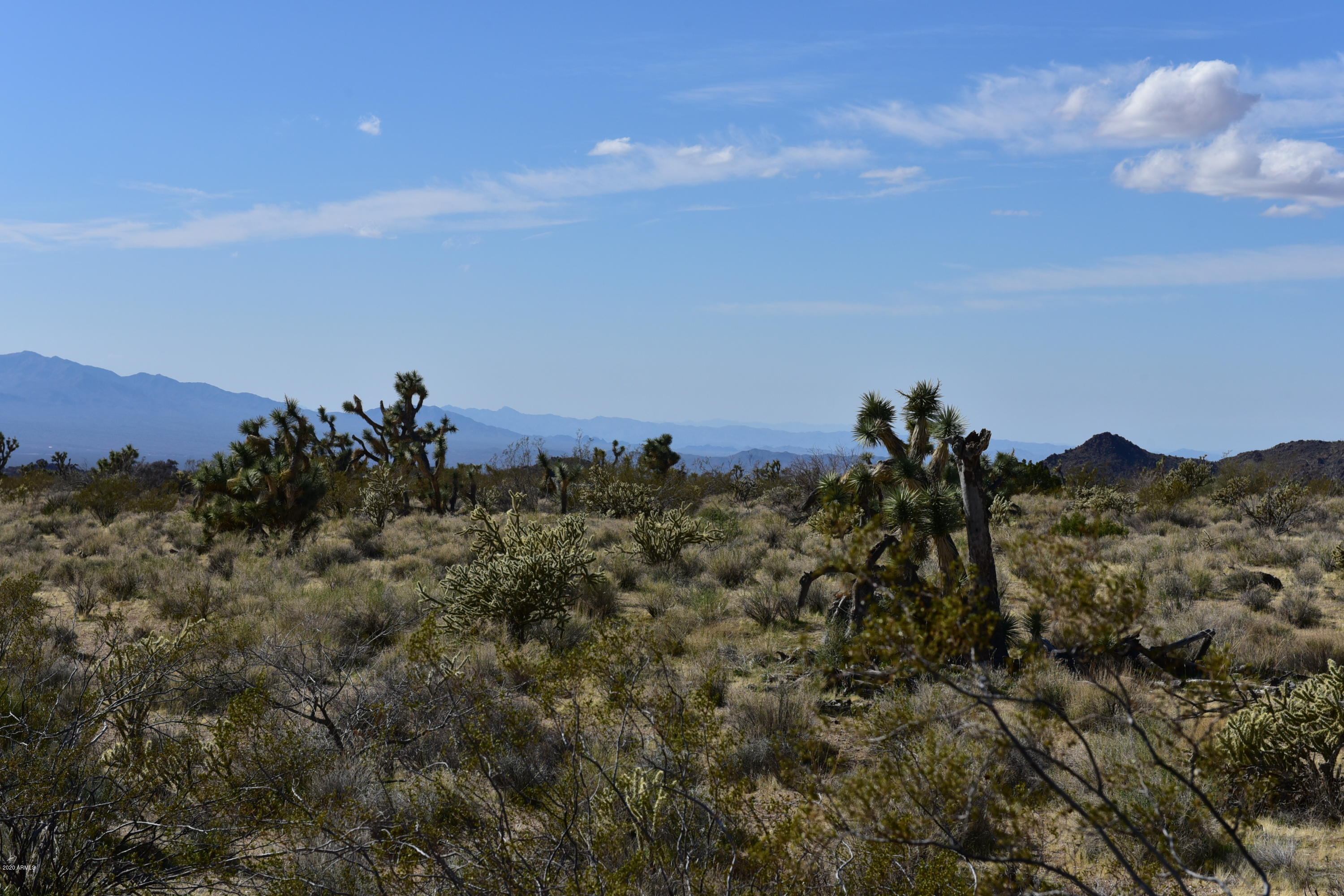 5630 East Mccoy Road Yucca, AZ 86438 - Photo 34 of 64 5630 E MCCOY RD