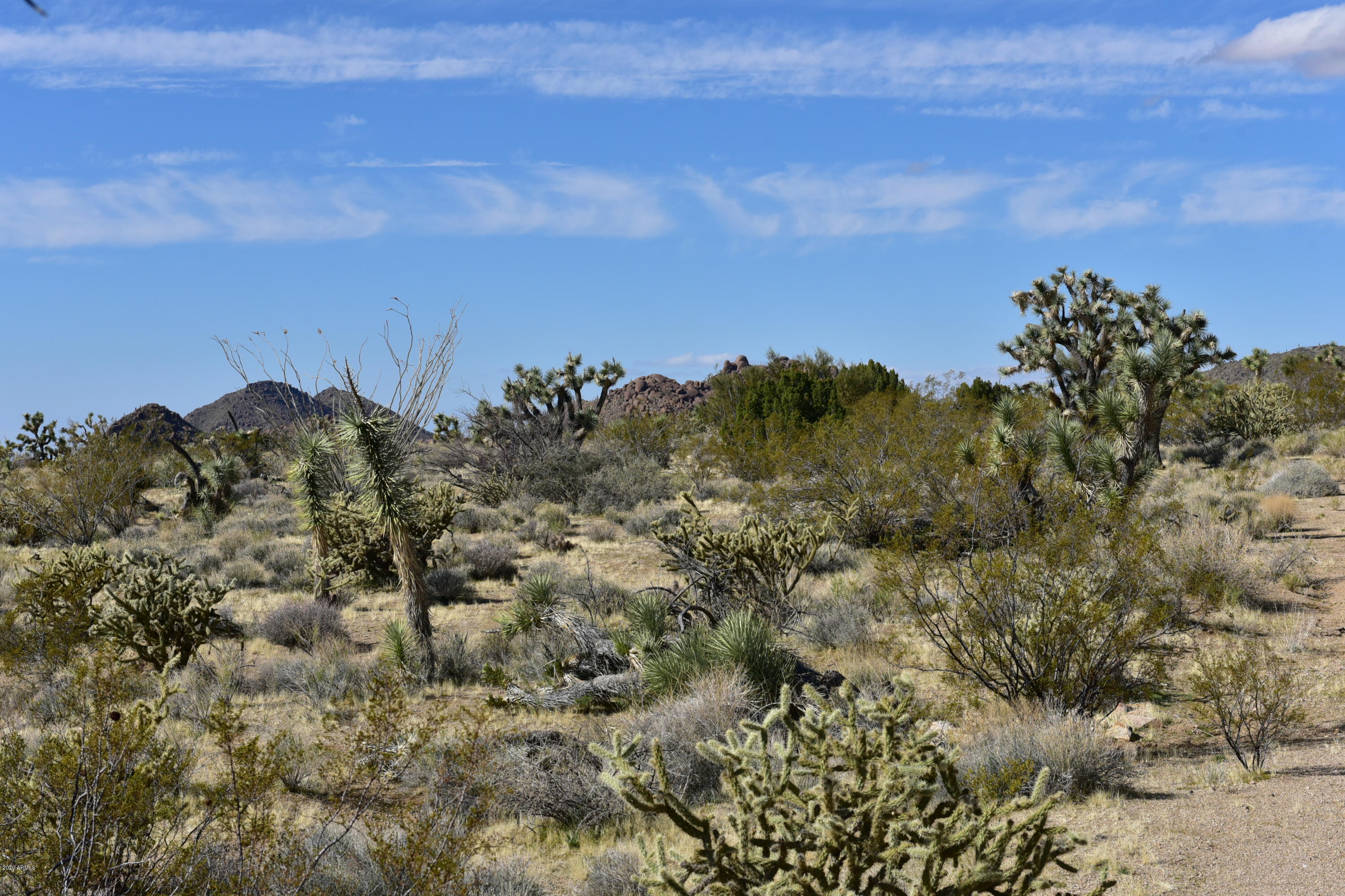 5630 East Mccoy Road Yucca, AZ 86438 - Photo 37 of 64 5630 E MCCOY RD
