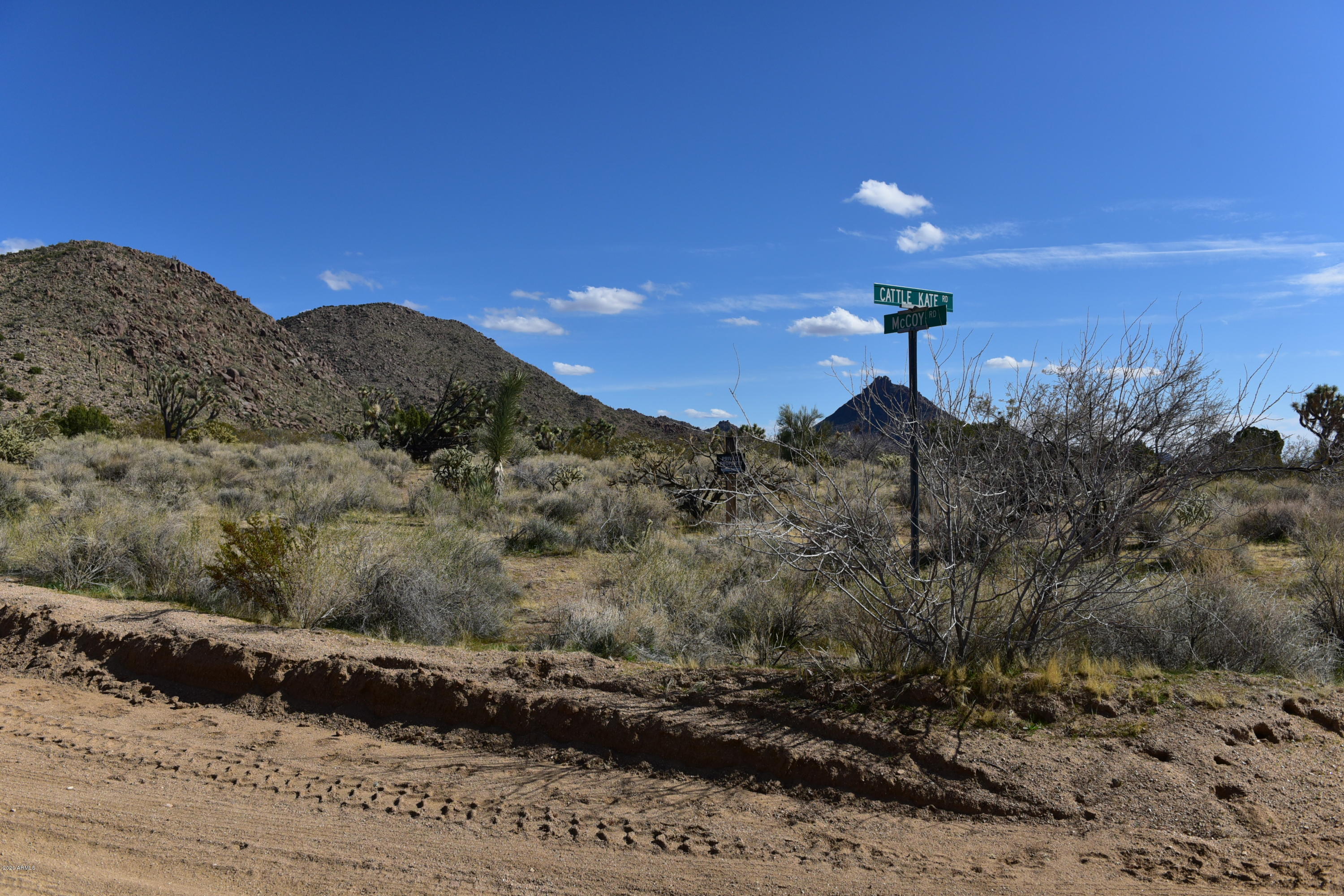 5630 East Mccoy Road Yucca, AZ 86438 - Photo 4 of 64 5630 E MCCOY RD