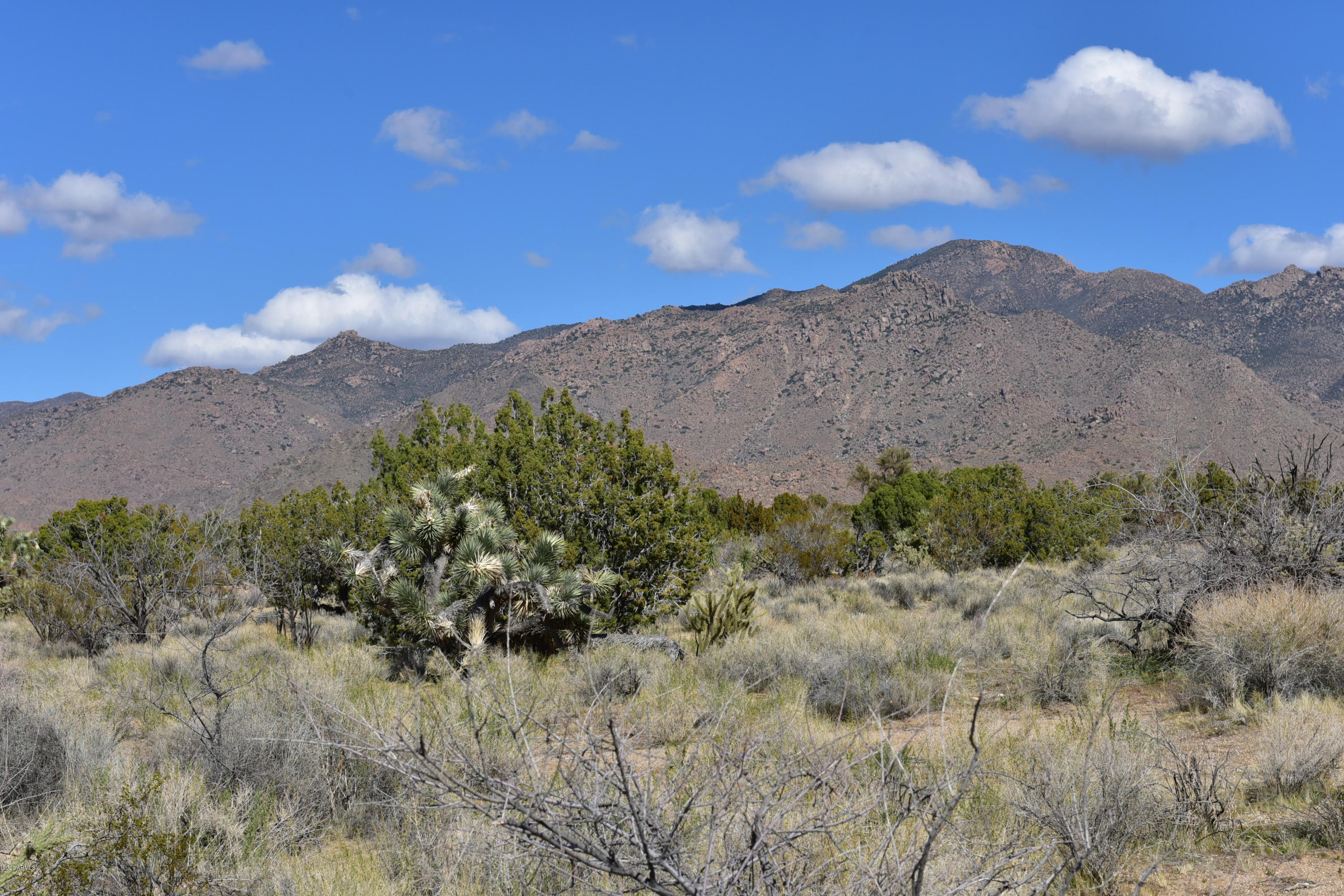 5630 East Mccoy Road Yucca, AZ 86438 - Photo 43 of 64 5630 E MCCOY RD