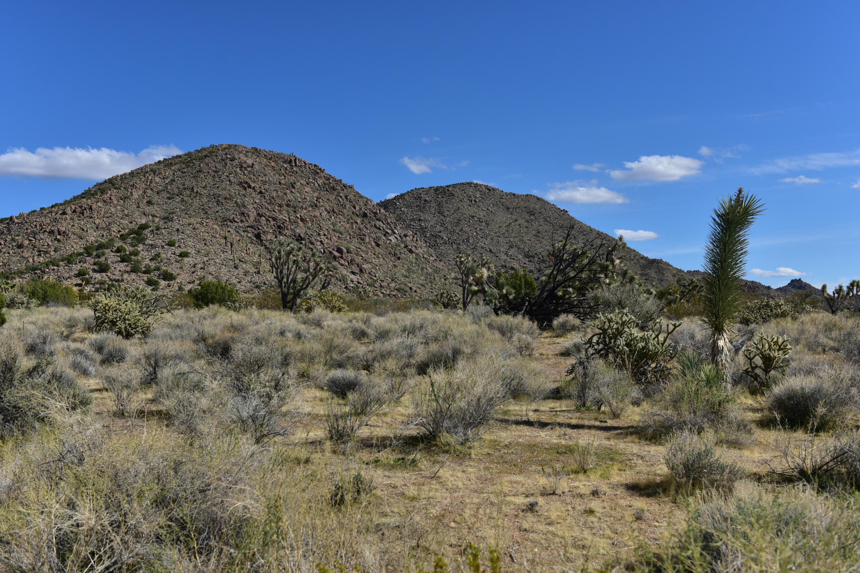 5630 East Mccoy Road Yucca, AZ 86438 - Photo 51 of 64 5630 E MCCOY RD