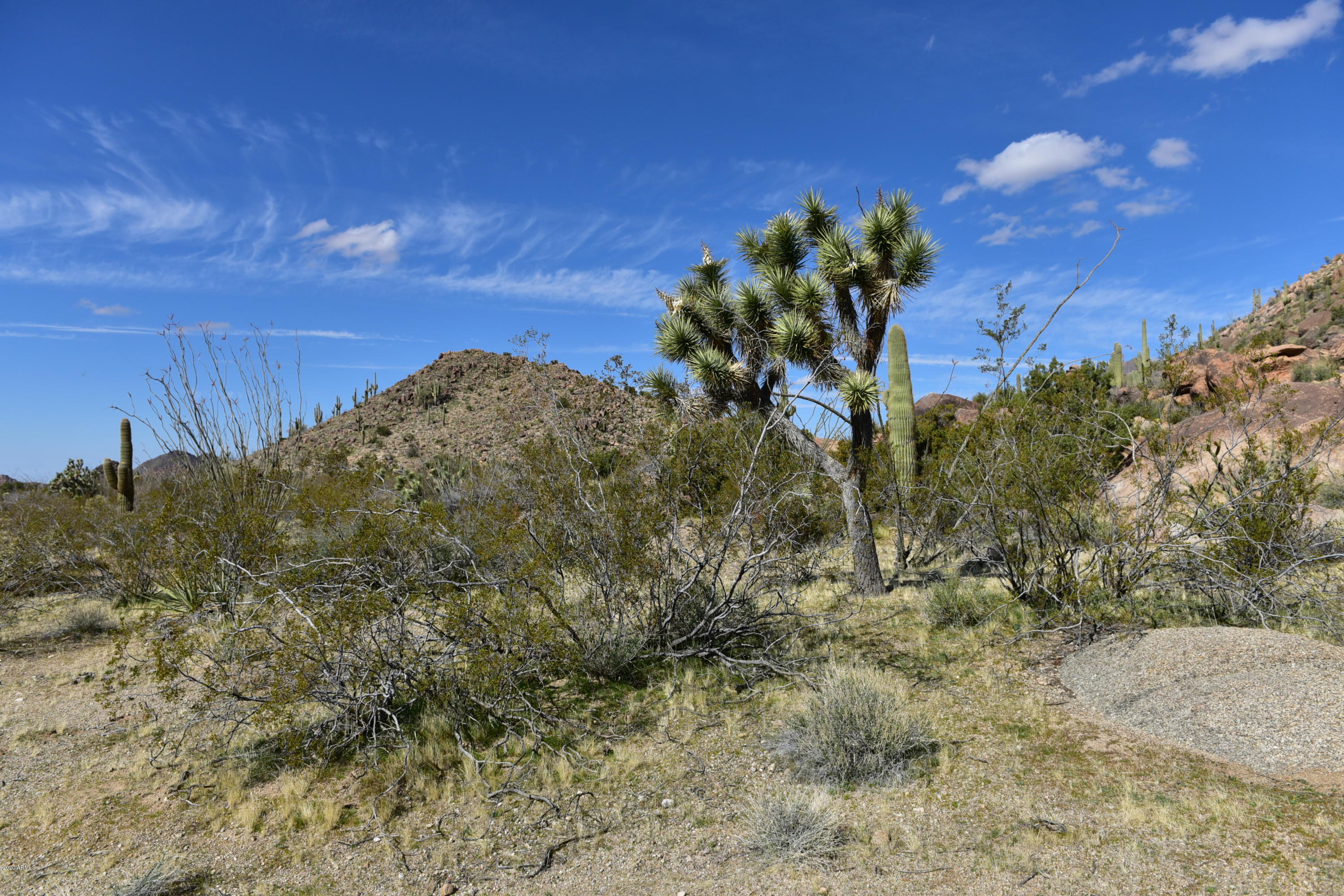5630 East Mccoy Road Yucca, AZ 86438 - Photo 7 of 64 5630 E MCCOY RD