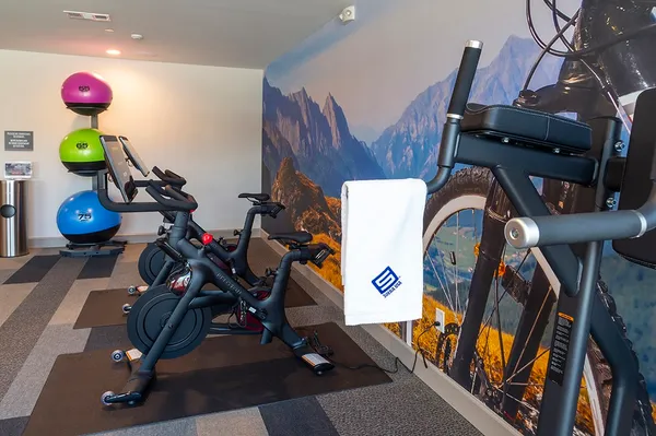 $3,095 | 1724 Partnership Way, Unit 3101, Katy, TX 77449