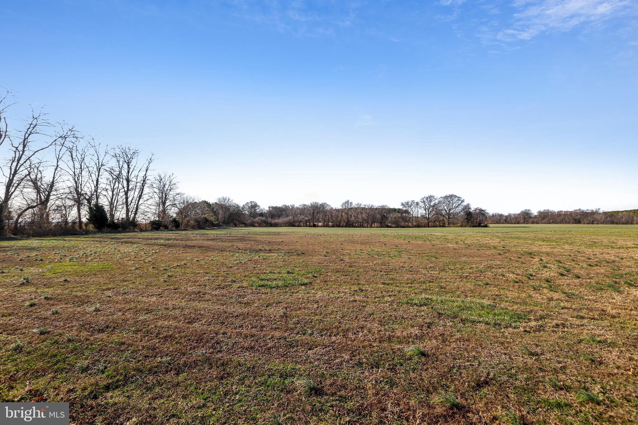 7535 Kent Point Road Stevensville, MD 21666 - Photo 46 of 50