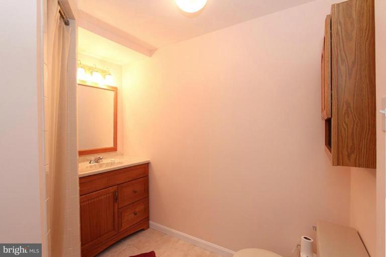 11826 Smoketree Road Potomac, MD 20854 - Photo 7 of 30 Basement bath