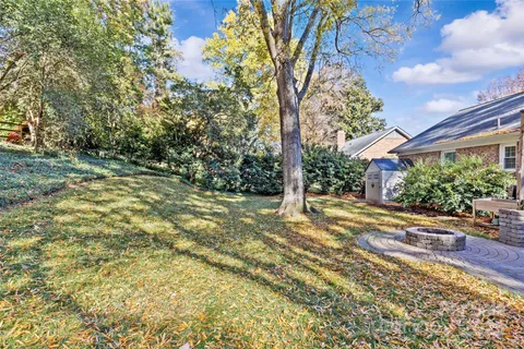 a view of a yard with plants and trees
