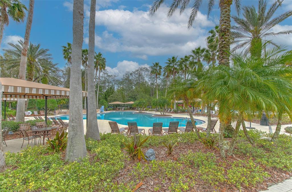 27601 Baybrook Loop Wesley Chapel, FL 33544 - Photo 25 of 34