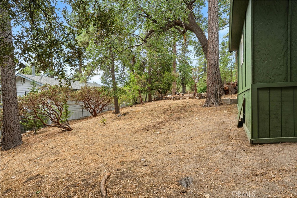 24990 Marion Ridge Drive Idyllwild, CA 92549 - Photo 33 of 41 a view of a backyard of the house