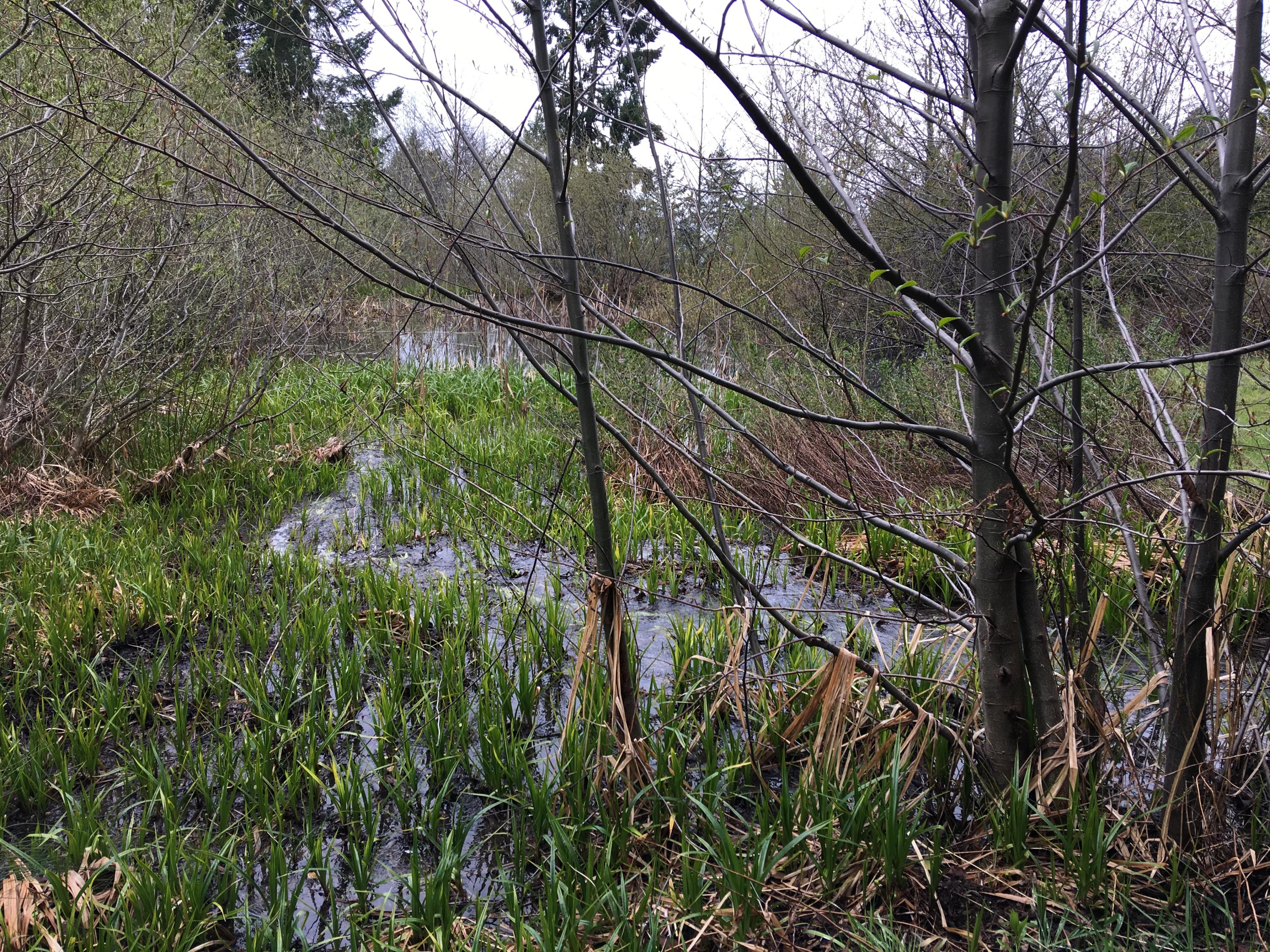 200 Acres Humbug Creek Road Arcata, CA 95521 - Photo 8 of 12