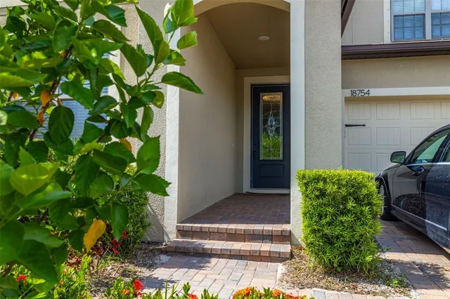 $5,250 | 18754 Birchwood Groves Drive, Lutz, FL 33558