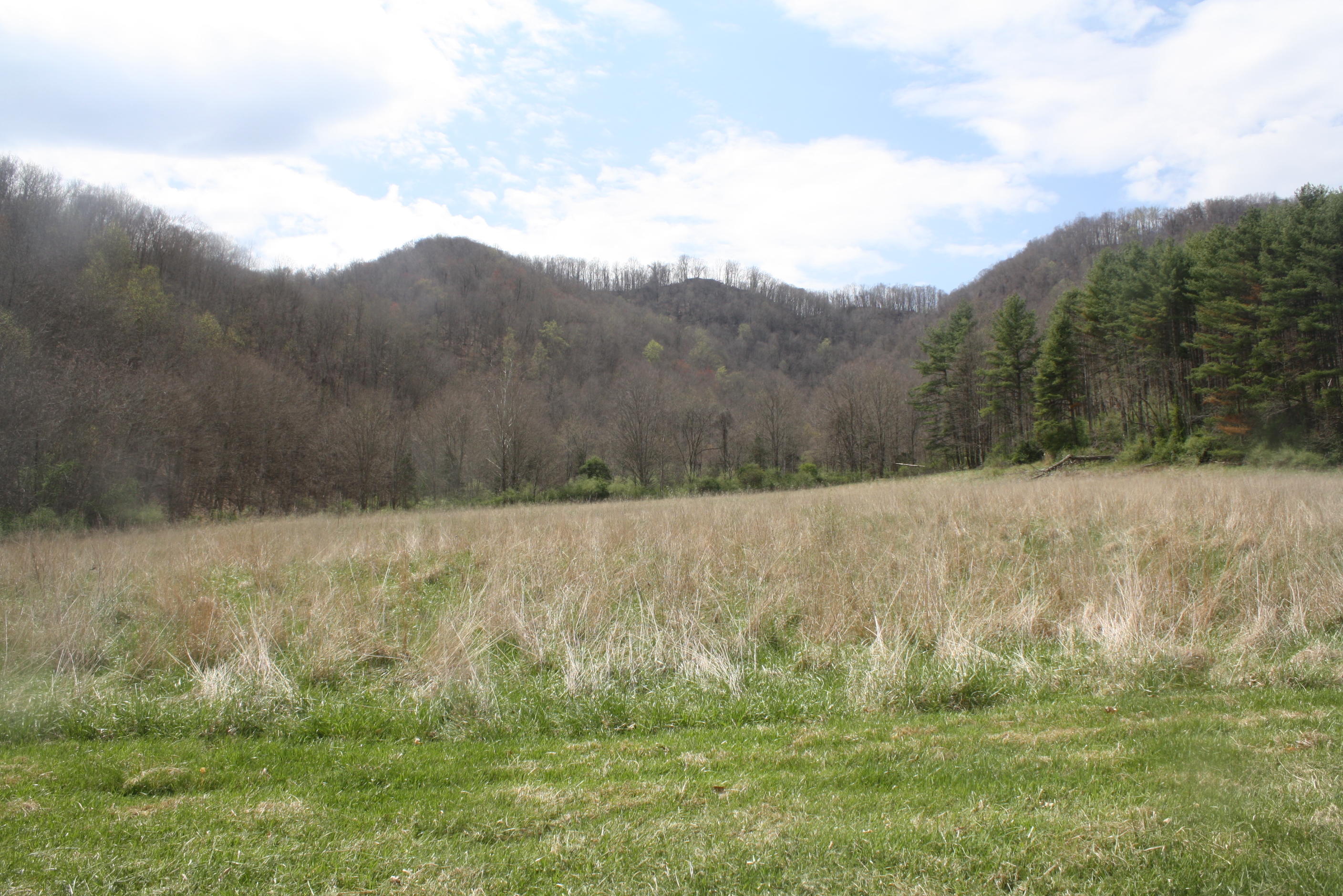 722 East Woodrumtown Road Hinton, WV 25951 - Photo 75 of 145 Gallery Image 75